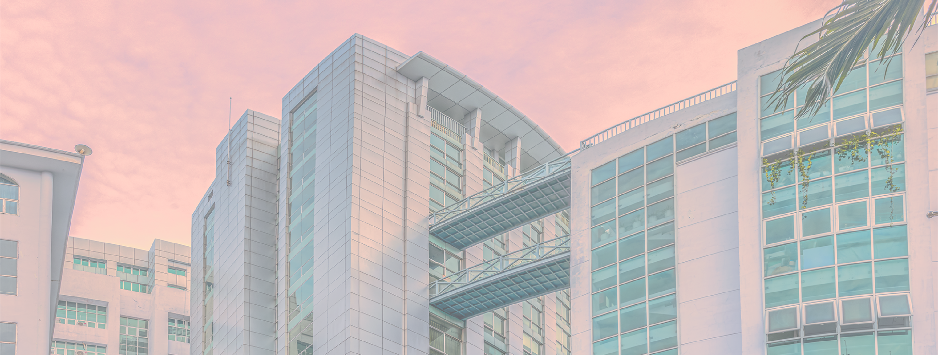 Quy chế đào tạo tín chỉ ban hành năm 2025